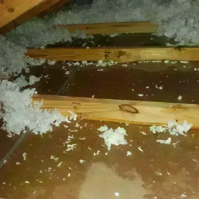 Attic Water Damage in Eudora, AR