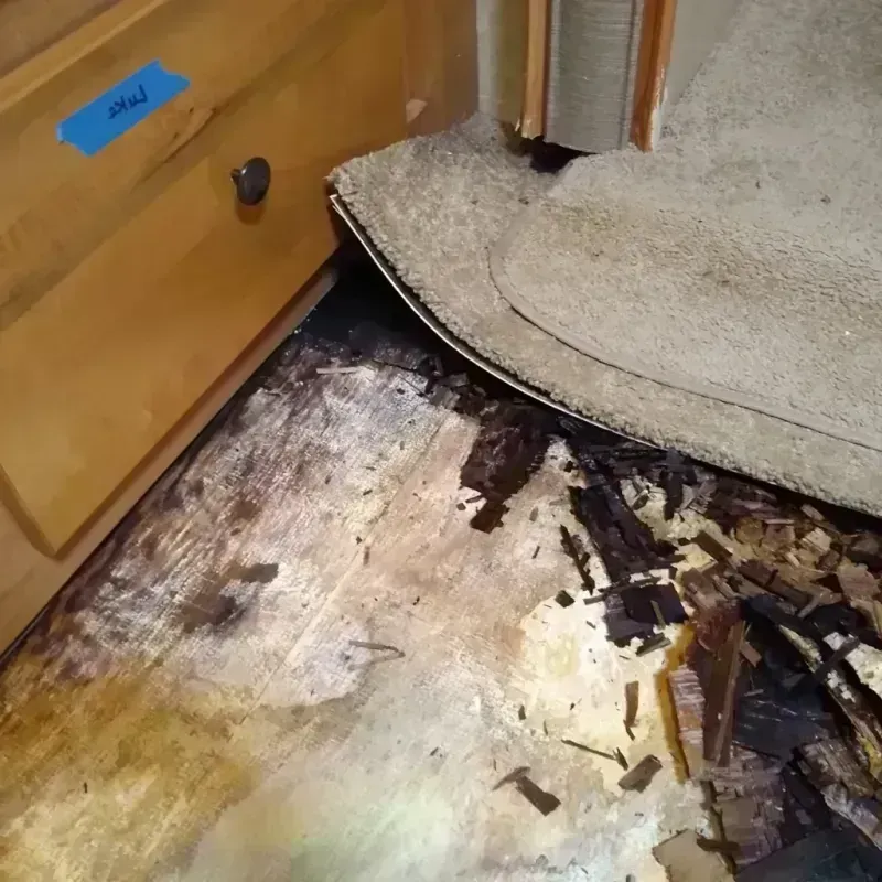 Wood Floor Water Damage in Eudora, AR